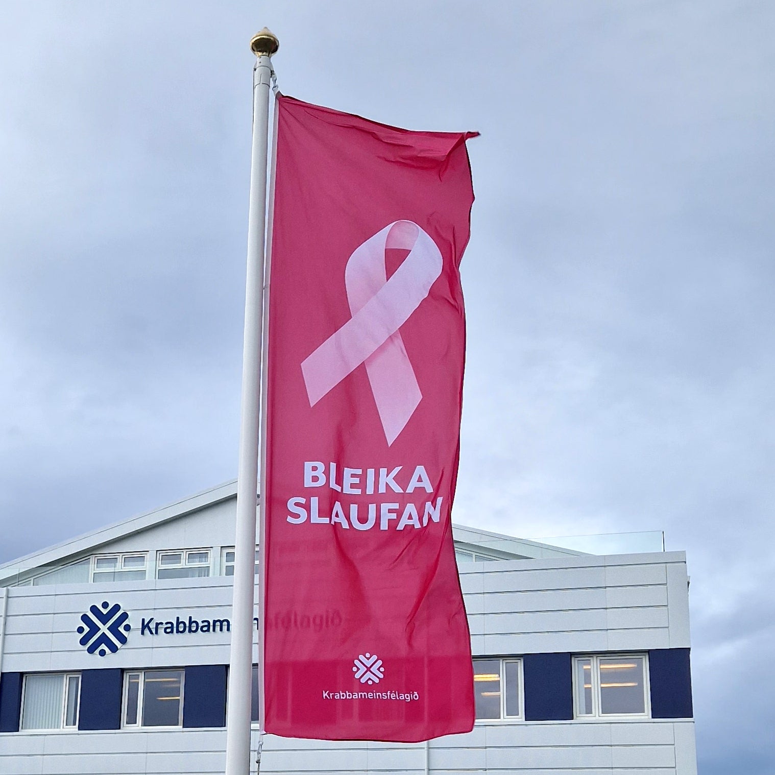 Fáni Bleiku slaufunnar