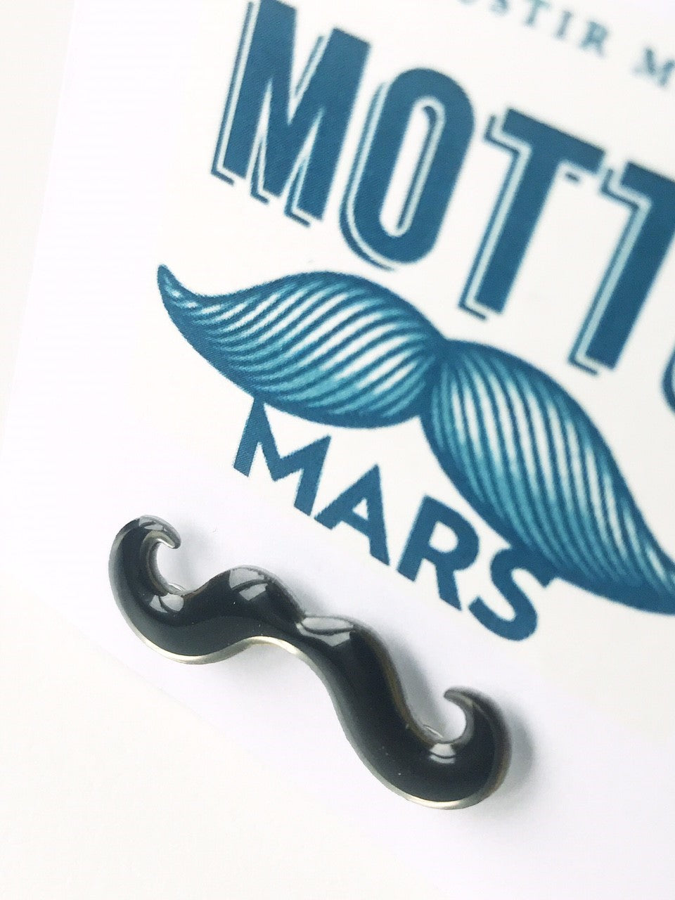 Mottumars skeggnæla